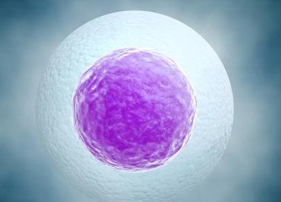 上海交通大学医学院附属第九人民医院做三代试管成功率如何？一文读懂需要花多少钱