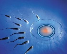 无精子症还怎么试管婴儿生孩子？