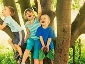 未婚试管生子罚不罚款答案来咯，要几万、怎么罚一清二楚