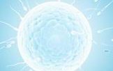 精子液化是怎么回事 精子不液化原因有哪些