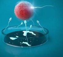 华阴市不育不孕怎么办？华阴市治疗不孕不育哪家医院好？