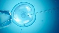 青岛助孕三代试管婴儿怎么安全保胎？