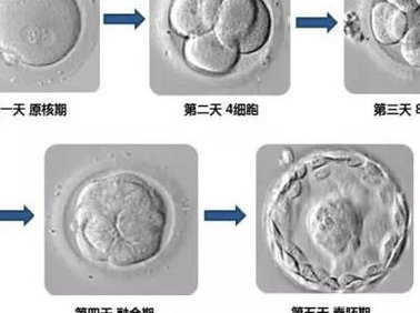 普宁市不育不孕怎么办？普宁市治疗不孕不育哪家医院好？