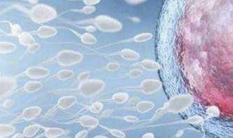 深圳中山泌尿外科医院怎么样 试管婴儿成功率有多少